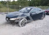 2012 Honda Accord photo
