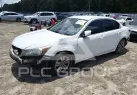 2012 Honda Accord фото