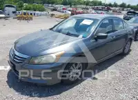 2012 Honda Accord photo