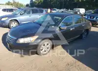 2012 Honda Accord фото