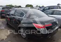 2012 Honda Accord photo