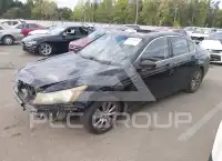 2012 Honda Accord photo