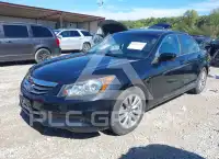 2012 Honda Accord photo
