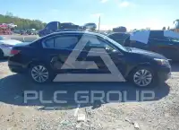 2012 Honda Accord photo