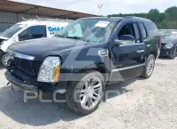 2012 Cadillac ESCALADE photo