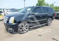 2012 Cadillac ESCALADE photo