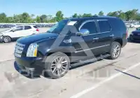 2012 Cadillac ESCALADE фото