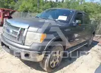 2012 Ford F-150 photo