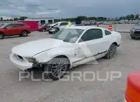 2012 Ford MUSTANG photo