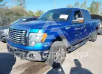 2012 Ford F-150 photo
