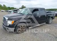 2012 Ford F-150 photo