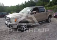 2012 Ford F-150 photo