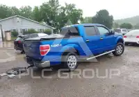2012 Ford F-150 photo