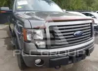 2012 Ford F-150 photo
