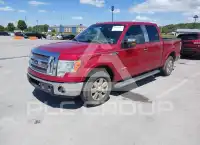 2012 Ford F-150 photo