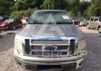 2012 Ford F-150 photo