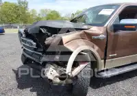 2012 Ford F-150 photo
