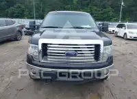2012 Ford F-150 photo