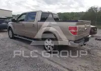 2012 Ford F-150 photo
