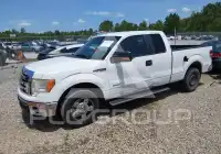2012 Ford F-150 photo