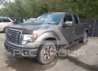2012 Ford F-150 photo