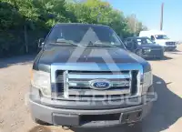 2012 Ford F-150 photo