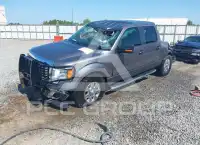 2012 Ford F-150 photo