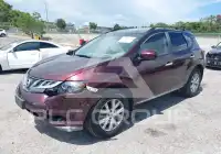 2013 Nissan MURANO фото