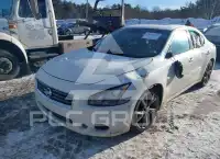 2013 Nissan MAXIMA фото