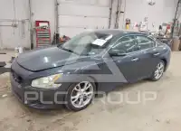 2013 Nissan MAXIMA фото