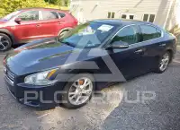 2013 Nissan MAXIMA фото