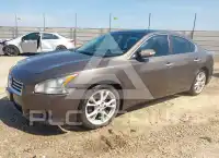 2013 Nissan MAXIMA фото