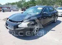 2013 Nissan MAXIMA фото