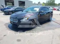 2013 Nissan MAXIMA фото