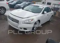 2013 Nissan MAXIMA photo