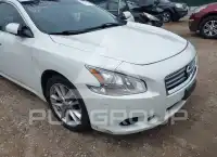 2013 Nissan MAXIMA photo