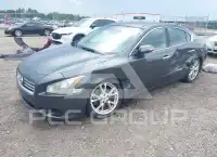2013 Nissan MAXIMA photo
