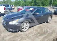 2013 Nissan MAXIMA photo