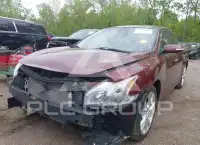 2013 Nissan MAXIMA фото