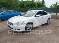 2013 Nissan MAXIMA photo