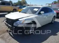 2013 Nissan MAXIMA photo