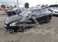 2013 Nissan MAXIMA photo