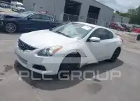 2013 Nissan ALTIMA фото