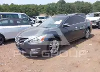 2013 Nissan ALTIMA фото