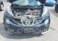 2013 Nissan Juke photo