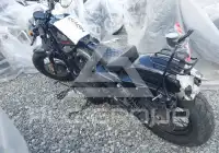 2013 Harley-Davidson XL1200 photo