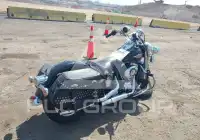 2013 Harley-Davidson FLSTC фото