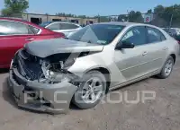 2013 Chevrolet Malibu фото