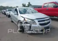 2013 Chevrolet Malibu фото
