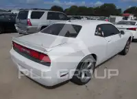 2013 Dodge CHALLENGER photo